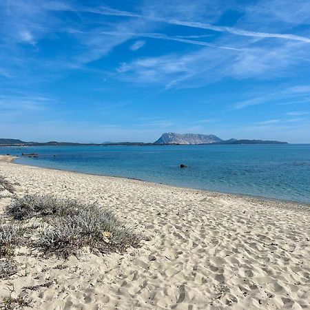 Iss Travel, San Teodoro 1 - 100 M From Cala D'Ambra Beach 외부 사진