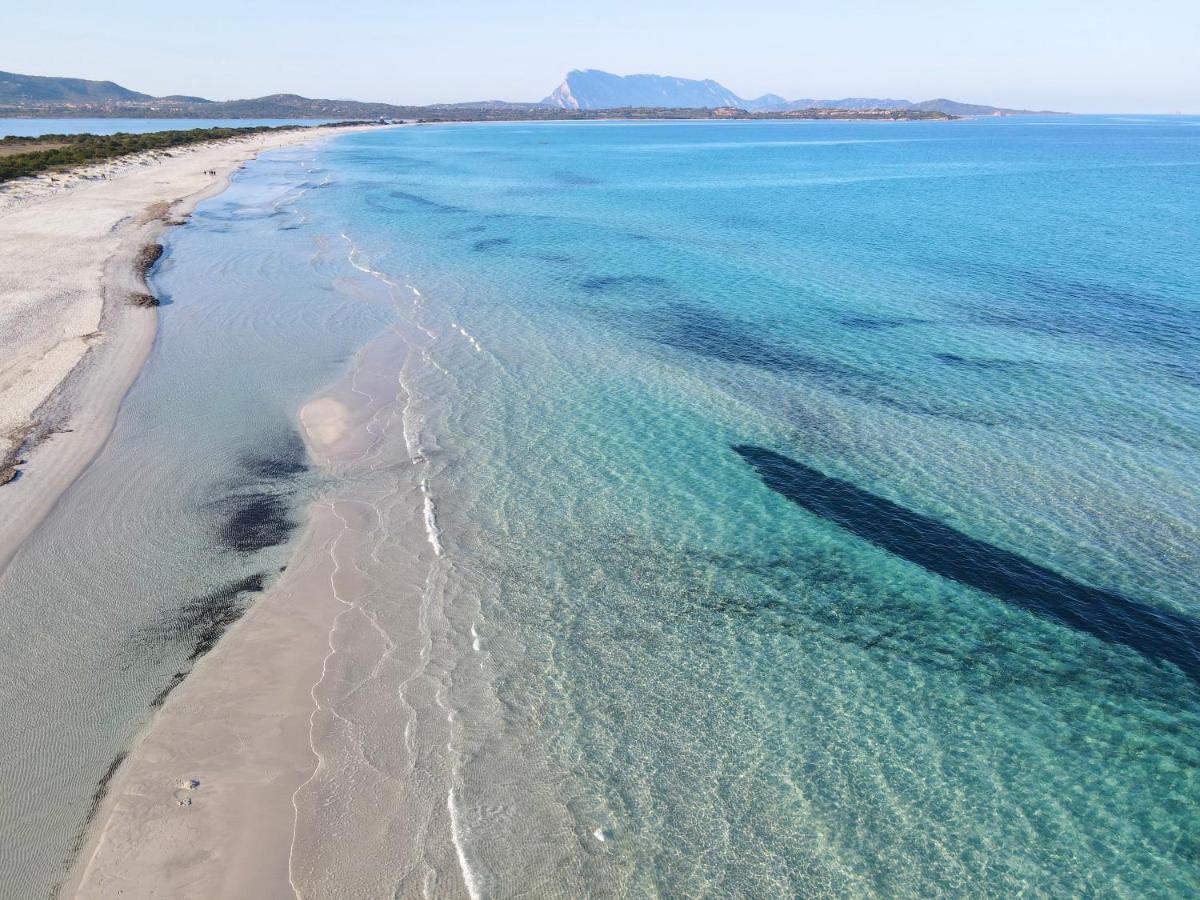 Iss Travel, San Teodoro 1 - 100 M From Cala D'Ambra Beach 외부 사진