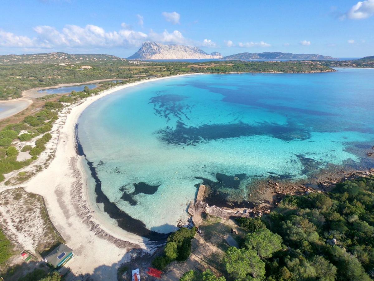 Iss Travel, San Teodoro 1 - 100 M From Cala D'Ambra Beach 외부 사진