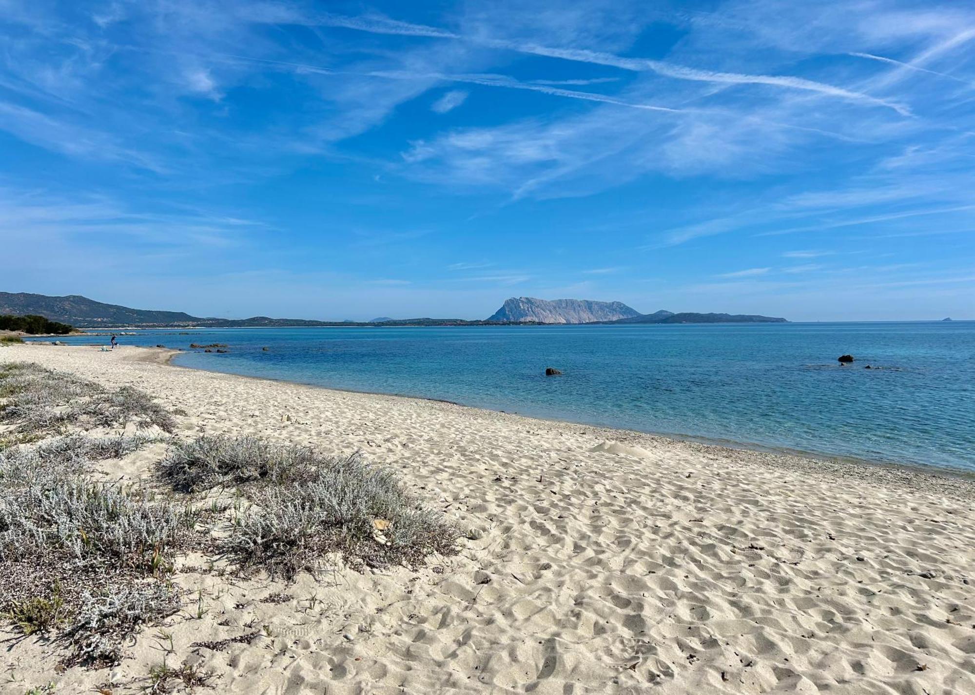 Iss Travel, San Teodoro 1 - 100 M From Cala D'Ambra Beach 외부 사진